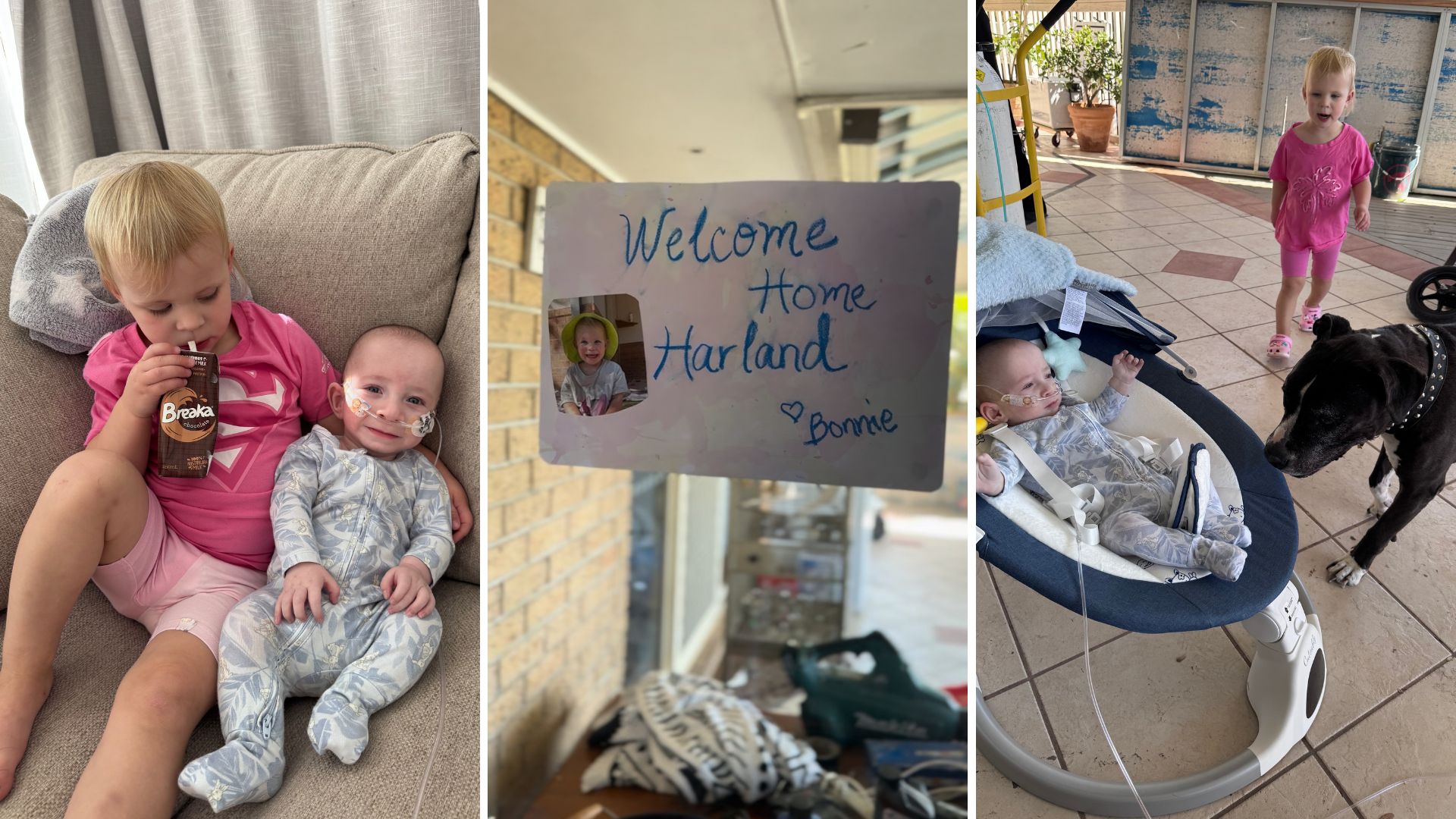 Harland enjoying his home life.
