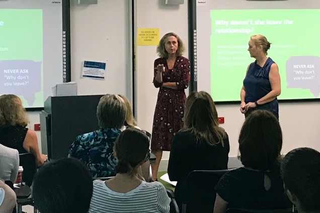 Image of domestic violence training