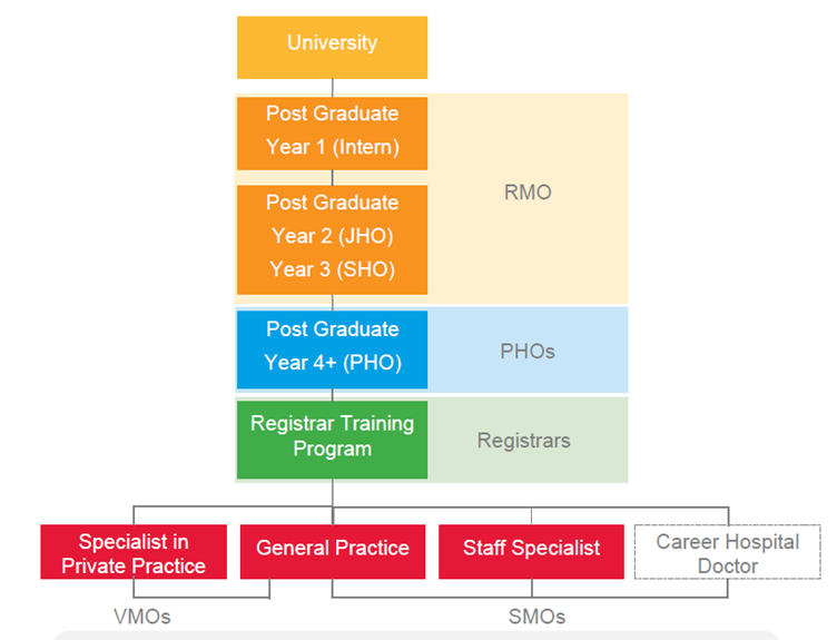 clinical career structure graph