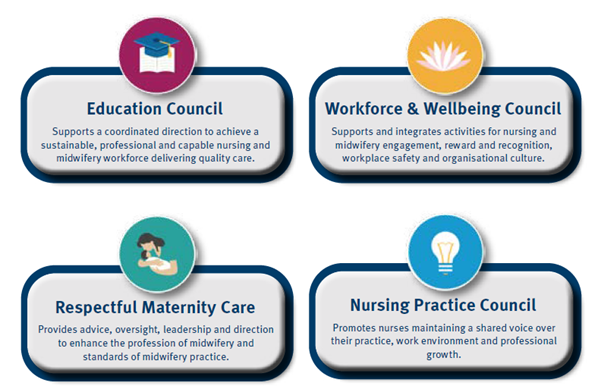 Nursing and Midwifery Professional Governance Model graphic